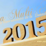 Anul 2015