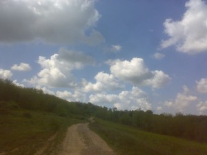 040520131177