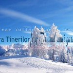 Seara Tinerilor, Sambata, 7 Decembrie 2013