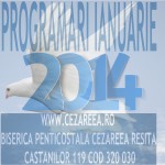 Programari Ianuarie 2014