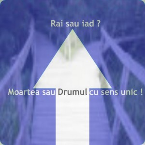 Drumul cu sens unic final