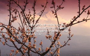 ??? (Mount Fuji and Plum Blossoms, Japan))