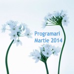 Programari Martie 2014