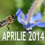 Aprilie 2014, 3