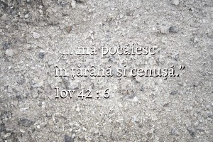 Iov 42.6, 1