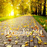 Anunţuri 8 Octombrie 2014