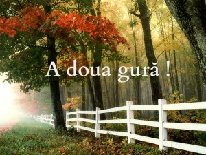 A doua gură!