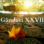 Gânduri XXVII