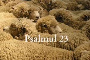 Psalmul 23