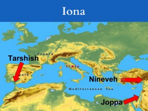 Iona