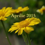 Aprilie 2015