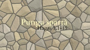 Hagai 1.1-15