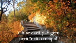 Gânduri XXX