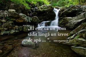 Izvorul