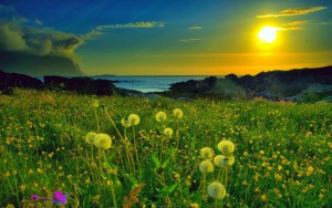 Spring-Nature-Sunset1-1024x640