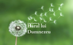 Vântul