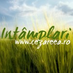 Întâmplări