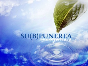 Su(b)punerea, Romani 13.1-2