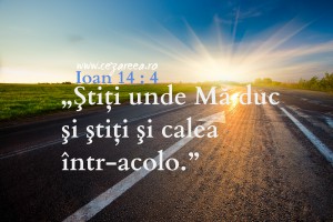 Calea, Ioan 14.4