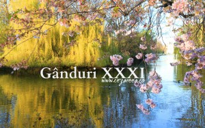 Gânduri XXXI
