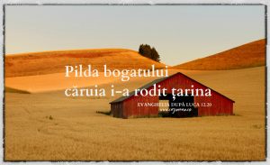 pilda-bogatului-caruia-i-a-rodit-tarina-nebunul