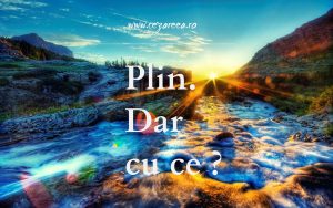 Plin. Dar cu ce