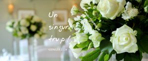 Geneza 2.24, Un singur trup!