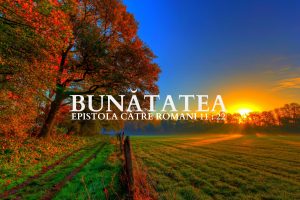 bunatatea-ii