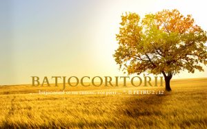 ii-petru-2-12-batjocoritorii