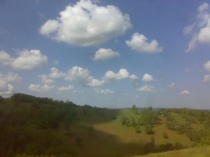040520131174