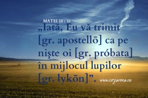 Matei 10.16, (I)