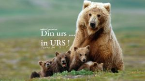 Psalmul 84.5-7, Din urs în urs